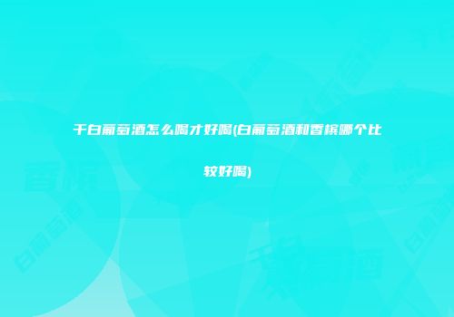 干白葡萄酒怎么喝才好喝(白葡萄酒和香槟哪个比较好喝)