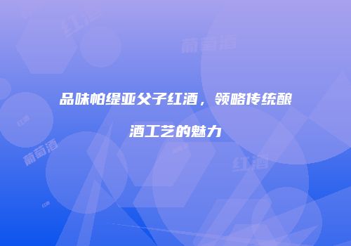 品味帕缇亚父子红酒，领略传统酿酒工艺的魅力