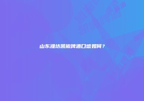 山东潍坊凯撒啤酒口感如何？
