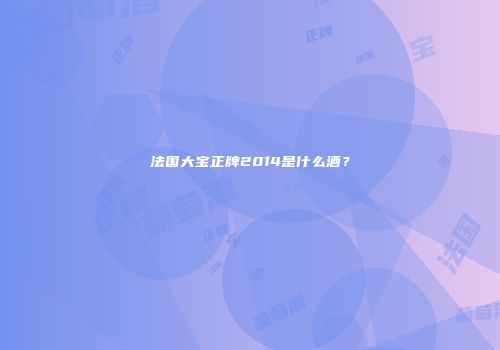 法国大宝正牌2014是什么酒？