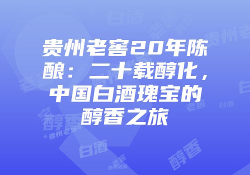 贵州老窖20年陈酿：二十载醇化，中国白酒瑰宝的醇香之旅