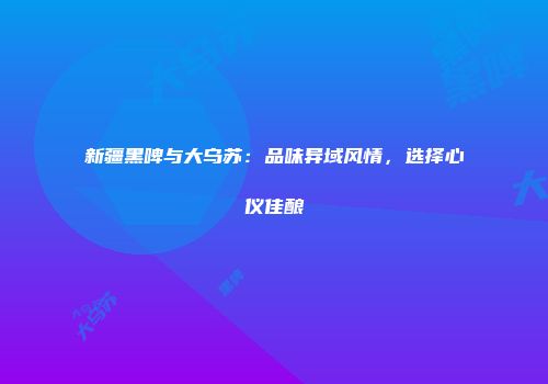 新疆黑啤与大乌苏：品味异域风情，选择心仪佳酿