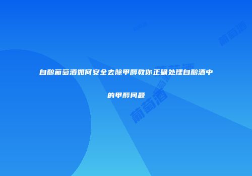 自酿葡萄酒如何安全去除甲醇教你正确处理自酿酒中的甲醇问题
