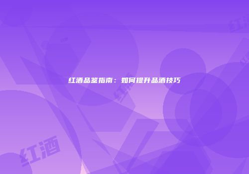 红酒品鉴指南：如何提升品酒技巧