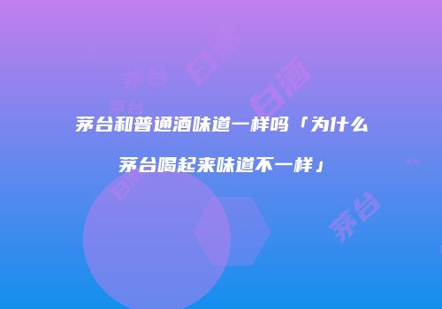 茅台和普通酒味道一样吗「为什么茅台喝起来味道不一样」