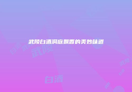 武陵白酒洞庭飘香的美妙味道