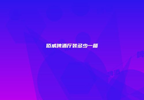 佰威啤酒厅装多少一箱