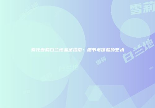 索托雪莉白兰地品鉴指南：细节与体验的艺术