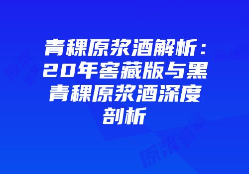青稞原浆酒解析：20年窖藏版与黑青稞原浆酒深度剖析