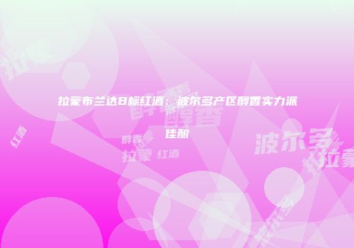 拉蒙布兰达B标红酒：波尔多产区醇香实力派佳酿