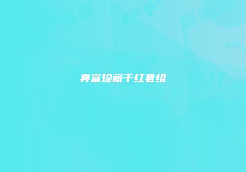 奔富珍藏干红套组