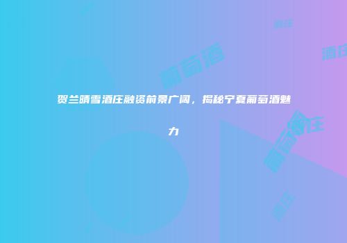 贺兰晴雪酒庄融资前景广阔，揭秘宁夏葡萄酒魅力