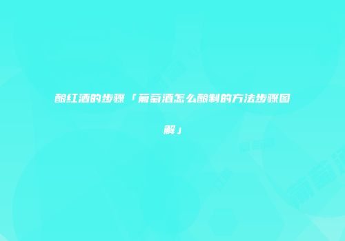 酿红酒的步骤「葡萄酒怎么酿制的方法步骤图解」