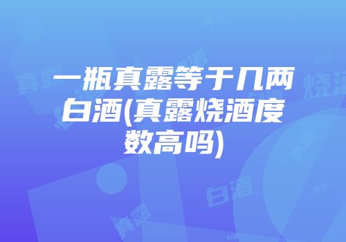 一瓶真露等于几两白酒(真露烧酒度数高吗)