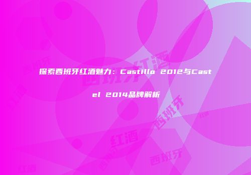 探索西班牙红酒魅力：Castillo 2012与Castel 2014品牌解析
