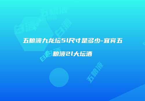 五粮液九龙坛5l尺寸是多少-宜宾五粮液2l大坛酒