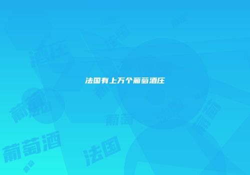 法国有上万个葡萄酒庄