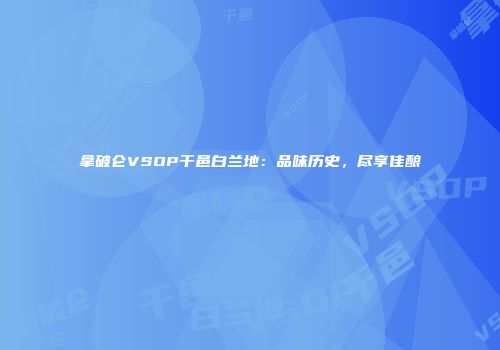 拿破仑VSOP干邑白兰地：品味历史，尽享佳酿