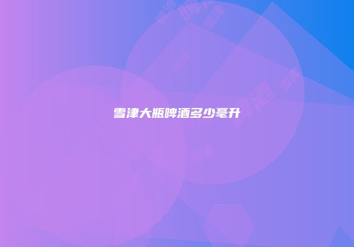 雪津大瓶啤酒多少毫升