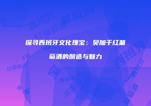探寻西班牙文化瑰宝：贝加干红葡萄酒的酿造与魅力