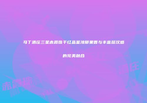 马丁酒庄三星赤霞珠干红品鉴浓郁果香与丰富层次感的完美融合