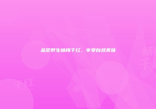 品尝野生杨梅干红，享受自然美味