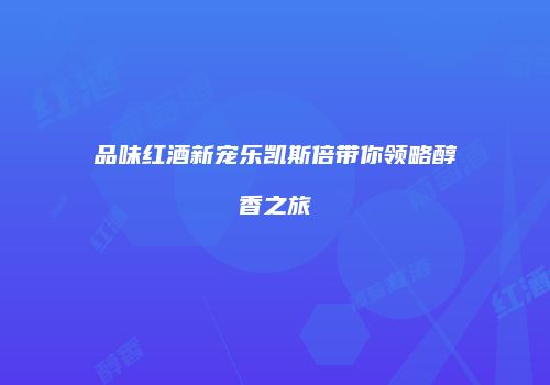 品味红酒新宠乐凯斯倍带你领略醇香之旅