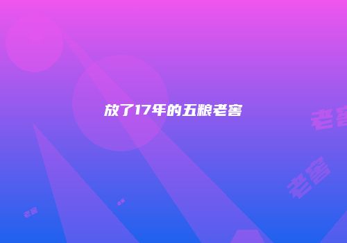 放了17年的五粮老窖