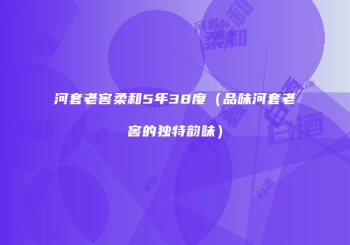 河套老窖柔和5年38度（品味河套老窖的独特韵味）