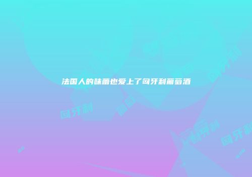 法国人的味蕾也爱上了匈牙利葡萄酒