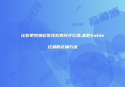 让你更好地欣赏这款西班牙红酒,品尝Valde红酒的正确方法