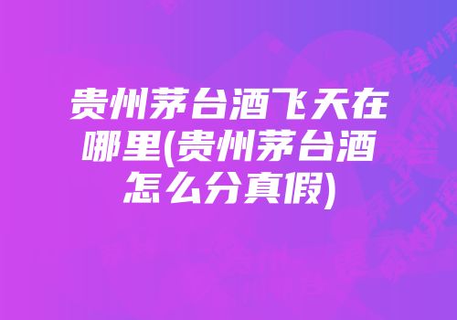 贵州茅台酒飞天在哪里(贵州茅台酒怎么分真假)