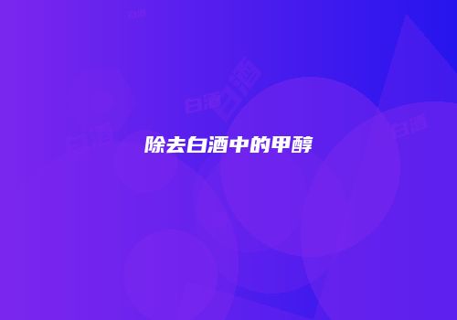除去白酒中的甲醇