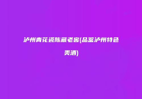 泸州青花瓷陈藏老窖(品鉴泸州特色美酒)
