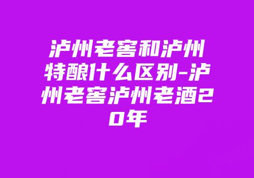 泸州老窖和泸州特酿什么区别-泸州老窖泸州老酒20年