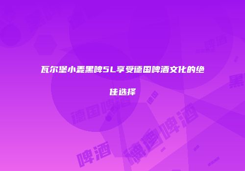 瓦尔堡小麦黑啤5L享受德国啤酒文化的绝佳选择