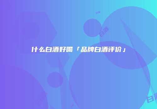 什么白酒好喝「品牌白酒评价」