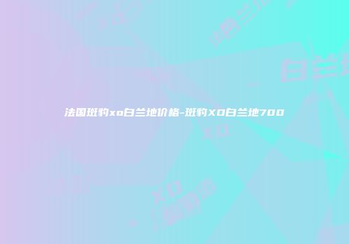 法国斑豹xo白兰地价格-斑豹XO白兰地700