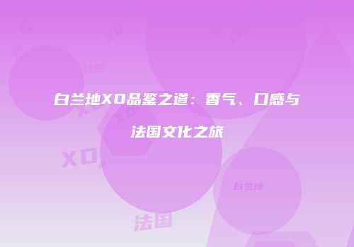 白兰地XO品鉴之道：香气、口感与法国文化之旅