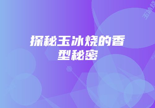 探秘玉冰烧的香型秘密
