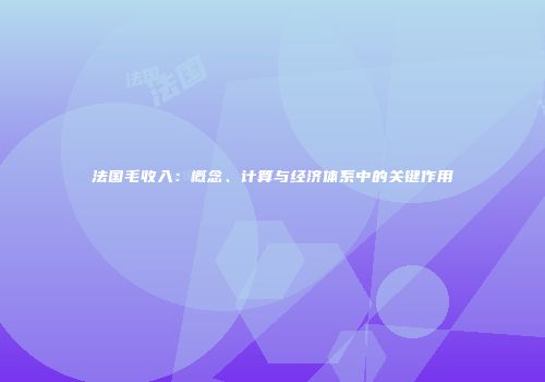 法国毛收入：概念、计算与经济体系中的关键作用
