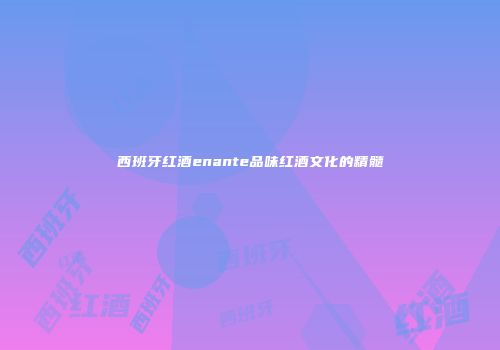 西班牙红酒enante品味红酒文化的精髓