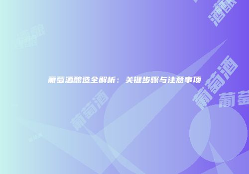 葡萄酒酿造全解析：关键步骤与注意事项