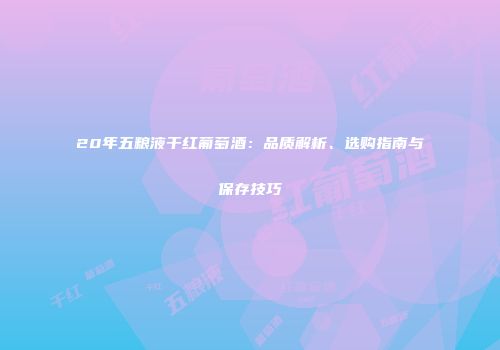 20年五粮液干红葡萄酒：品质解析、选购指南与保存技巧
