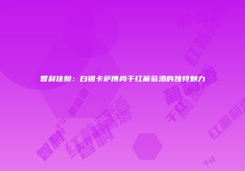 智利佳酿：白银卡萨博尚干红葡萄酒的独特魅力