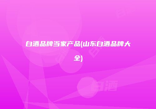 白酒品牌当家产品(山东白酒品牌大全)