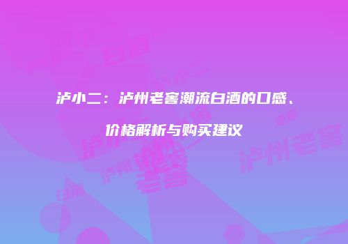 泸小二：泸州老窖潮流白酒的口感、价格解析与购买建议