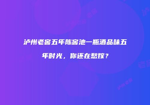 泸州老窖五年陈窖池一瓶酒品味五年时光，你还在愁嫁？