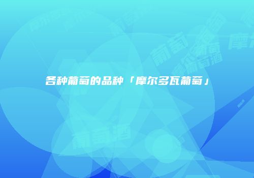 各种葡萄的品种「摩尔多瓦葡萄」