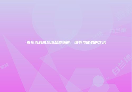 索托雪莉白兰地品鉴指南：细节与体验的艺术